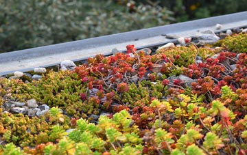 the cost of Garrowhill green roof installation