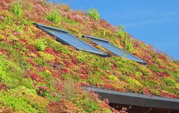 Garrowhill living roof systems