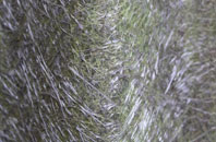 Garrowhill fibreglass roof work